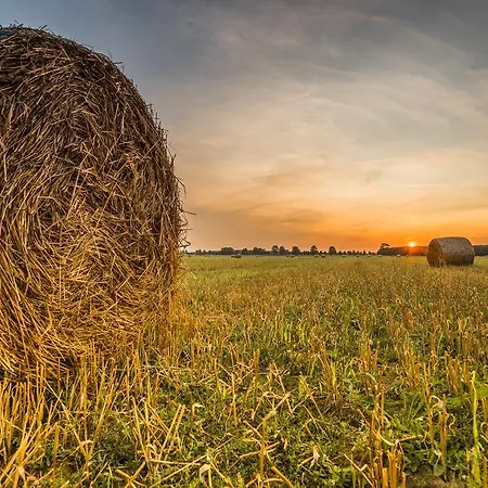 Prázdninový dům Fleesenstrand Göhren-Lebbin